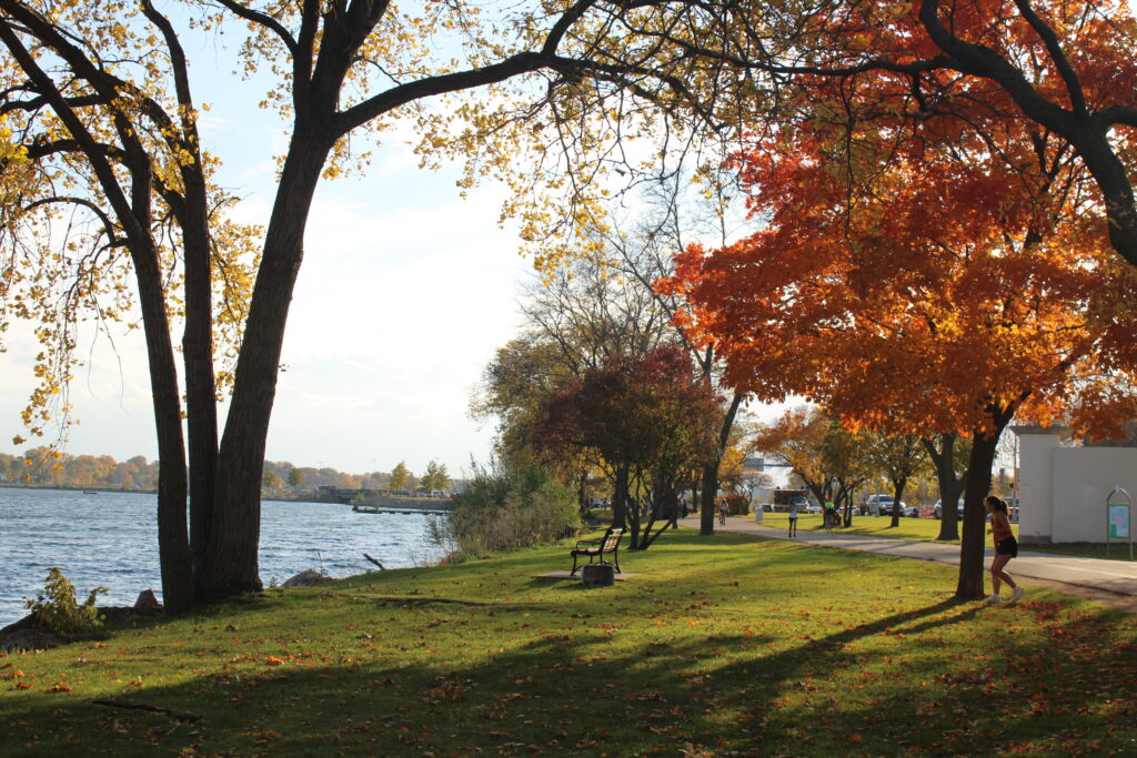 The Lake Monona shore area, part of the Lake Lounge zone in Sasaki's redesign plan.